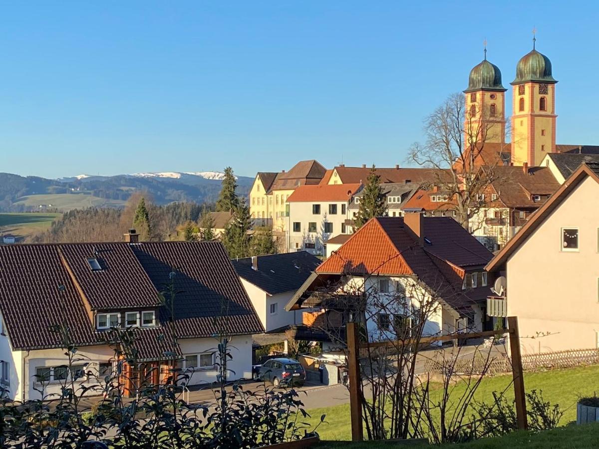Appartement Bergsonne Sankt Margen Bagian luar foto