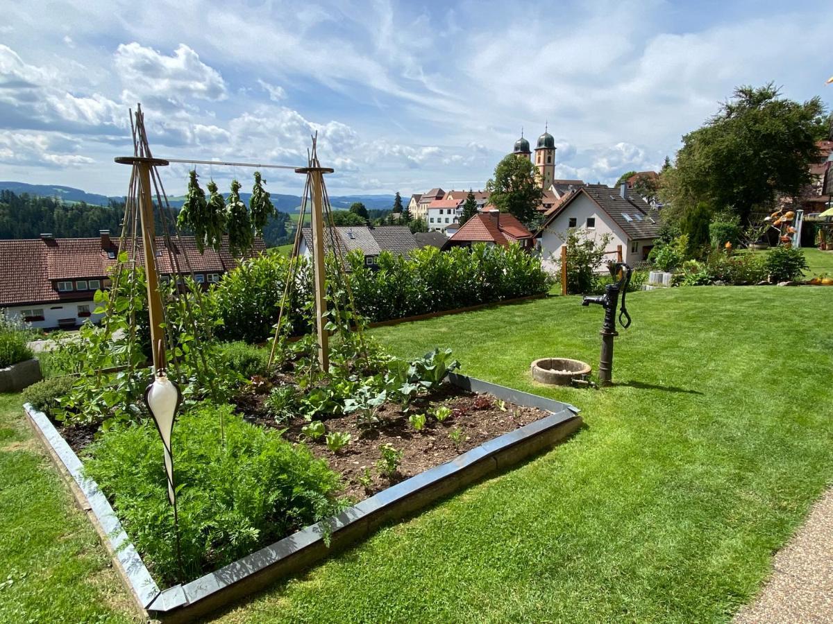 Appartement Bergsonne Sankt Margen Bagian luar foto